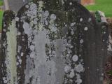 image of grave number 954305